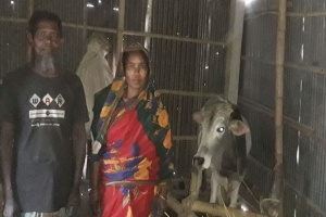 গোয়াল ঘরেই সন্তানসহ থাকেন এই দম্পতি