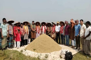 বছরের প্রথমদিনে জগন্নাথপুরে বোরো ধান কা*টার উৎসব