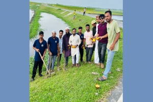 মাধবপুরের বুল্লা-ছাতিয়াইন সড়কে এক হাজার তালের বীজ রোপণ মাধবপুরের বুল্লা-ছাতিয়াইন সড়কে এক হাজার তালের বীজ রোপণ