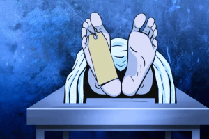 অটোরিকশার ওপর গাছ ভেঙে পড়ে নারী যাত্রীর মৃত্যু