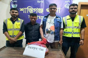 শান্তিগঞ্জে ২ কেজি গাঁ জা সহ মা দ ক ব্যবসায়ী আ ট ক