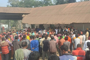 চা বাগানে ধানের শীষের ঝড় তুলছেন ফয়সল তনয় শাফকাত