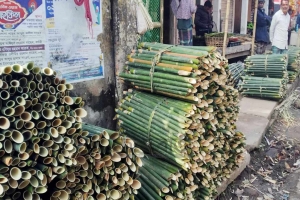 বিলুপ্তির পথে সিলেটের ঐতিহ্যবাহী চুঙ্গা পিঠার ঢলু বাঁশ