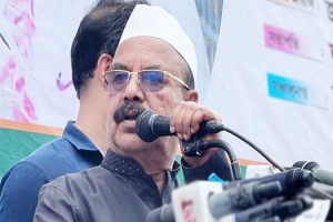 ‘সরকার বেশি দিন টিকবে না’