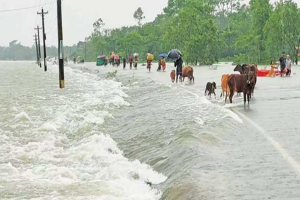 দেশের আট জেলায় বন্যার শ*ঙ্কা