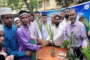 জগন্নাথপুরে তাল ও নারিকেল চারা, মরিচ, সবজিবীজ ও উপকরণ বিতরণ