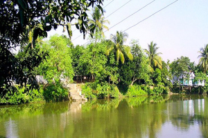 মাধবপুর বেলাপুর গ্রামে পানিতে ডু*বে মৃ ত্যু