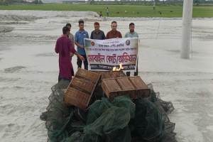 মাধবপুরে বিল থেকে নি ষি দ্ধ চায়না দুয়ারী জ*ব্দ