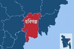 পানিতে ডুবে ভাই-বোনের মৃ ত্যু