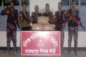 মাধবপুরে ২৯ কেজি গাঁ*জা জ*ব্দ