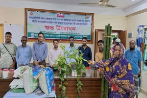গোয়াইনঘাটে কৃষকদের মাঝে বিনামূল্যে গাছের চারা  বিতরণ