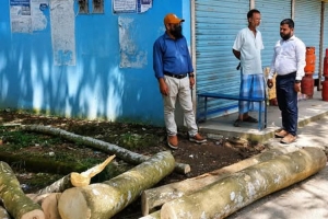 জৈন্তাবাতায় সংবাদ প্রকাশের পর বুরুঙ্গায় সরকারি গাছ কাটার স্থান পরিদর্শন করলেন বন বিভাগের রেঞ্জ কর্মকর্তা
