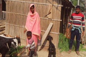 লাভলুর টানে নদী সাঁতরে বাংলাদেশে