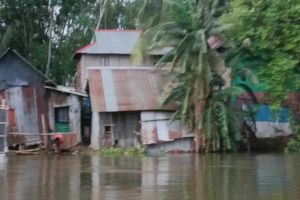 লাখাই বলভদ্র নদীর পাড়ে বসতভিটা ভাঙ্গন, দেখার কেউ নেই!