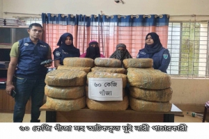 মাধবপুরে ৬০ কেজি গাঁজাসহ দুই নারী আ ট ক