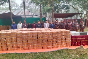 মৌলভীবাজারে দেড় কোটি টাকার ভা র তী য় সিগারেট ও বিড়ি পুড়িয়ে ধ্বং স