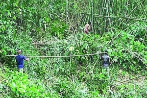 হবিগঞ্জে উজাড় হচ্ছে বনাঞ্চল