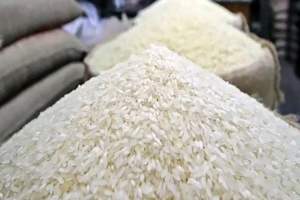 ভা র ত থেকে এলো ২৭ হাজার মেট্রিক টন চাল