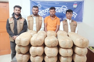 ৬০ কেজি ভা র তী য় গাঁ জা সহ গ্রে ফ তা র ১০ মা ম লা র আ সা মী