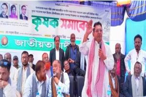 কমলগঞ্জের আদমপুরে কৃ ষ ক দলের সমা*বেশ অনুষ্ঠিত