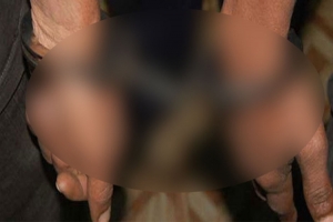 জাফর ইকবাল গ্রে ফ তা র