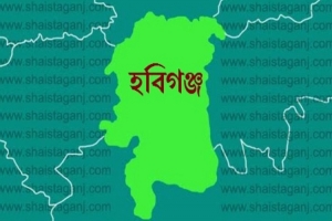 শায়েস্তাগঞ্জে অ গ্নি কা ন্ডে ১৫টি দোকান পু ড়ে ছা ই : অর্ধ কোটি টাকার ক্ষতি