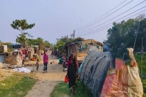 জগন্নাথপুরে ভালো নেই ৫০টি বেদে পরিবার