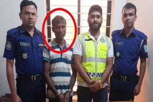 কুলাউড়ায় ৭ শতাধিক ইয়া*বাসহ গ্রে প্তা র ১
