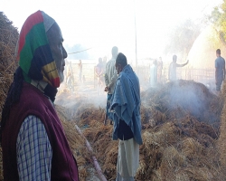 দুর্বৃত্তের আগুনে পুড়ল কৃষকের ৭ বিঘা জমির ধান