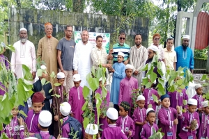 গোয়াইনঘাটে রোটারি ক্লাব অব সেন্ট্রাল সিলেট এর বৃক্ষরোপণ