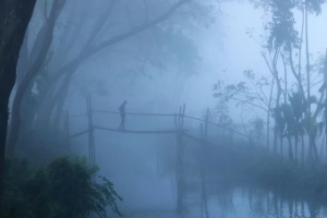 তাপমাত্রা নামতে পারে ৪ ডিগ্রিতে