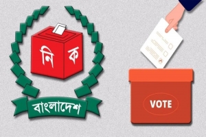 উপজেলা নির্বাচনে পোস্টার-মিছিল নিষিদ্ধ, বিধিমালায় আরও যা আছে উপজেলা নির্বাচনে পোস্টার-মিছিল নিষিদ্ধ, বিধিমালায় আরও যা আছে