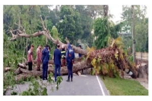 রাজনগর-ফেঞ্চুগঞ্জ-সিলেট আঞ্চলিক মহাসড়কে গাছ ফেলে অব*রোধ