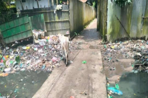 সুনামগঞ্জে ময়লার দু র্গ ন্ধে অ*তিষ্ঠ বাসিন্দারা
