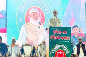 দেশ প্রেমিকের অভিনয় আর দেখতে চাই না: জামায়াত আমির