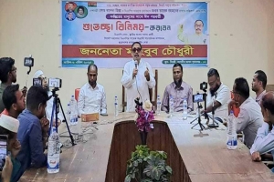 সংস্কা*র ও নির্বাচন চায় বিএনপি : মাহবুব চৌধুরী