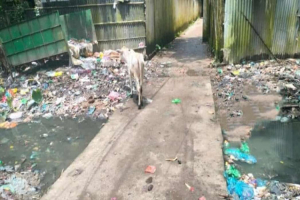 ২৫ বছর ধরে ময়লার দুর্গন্ধে অতিষ্ঠ বাসুদেববাড়ির বাসিন্দারা