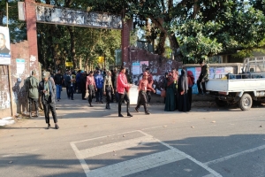 কমলগঞ্জে ৭৩টি ভোটকেন্দ্রে পৌঁছে যাচ্ছে নির্বাচনী উপকরণ