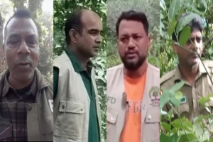 সাতছড়ির গাছ চু*রির অভিযোগে বন বিভাগের ৪ কর্মকর্তার বি রু দ্ধে মা ম লা
