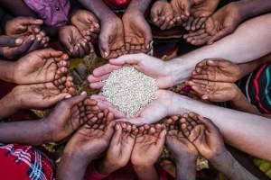 খাদ্য নিরাপত্তার ঝুঁ/কিতে বিশ্বের ২৬ কোটি মানুষ