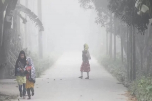 শৈত্যপ্রবাহে তিন জেলায় প্রাথমিকের পাঠদান বন্ধ