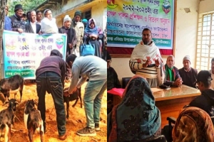 বড়লেখায় অসচ্ছল পরিবারের মাঝে ছাগল বিতরণ প্রশিক্ষণ কর্মশালা 