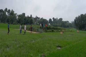 মাধবপুরে কঙ্কাল তুলে কবরস্থানে সবজি চাষ