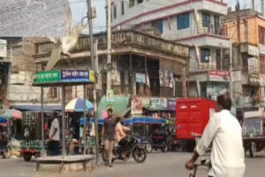 হঠাৎ তাপমাত্রা বৃদ্ধি, চুয়াডাঙ্গায় অস্থির জনজীবন