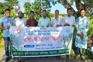 পরিবেশের ভারসাম্য রক্ষায় বড়লেখায় ব জ্র পা ত নিরোধক তালগাছের চারা রোপণ