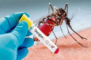 ডেঙ্গু আক্রান্ত হয়ে হাসপাতালে আরও ২৬৩ রোগী