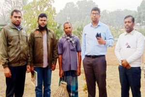 মৌলভীবাজারে ফাঁ দ পেতে পাখি শি কা র, যুবকের দ ণ্ড
