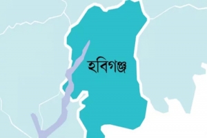 হবিগঞ্জে বিয়ে বাড়িতে গান বাজানোকে কেন্দ্র করে হা ম লা, নারী-পুরুষসহ আ হ ত ১২