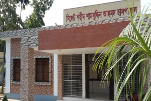 সিলেট বিভাগে হা'ম ও উপসর্গে মৃ'ত্যু বেড়ে ১৪৫