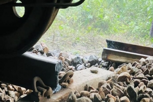 রুট পরিবর্তন করে ময়মনসিংহ যাচ্ছে ট্রেন